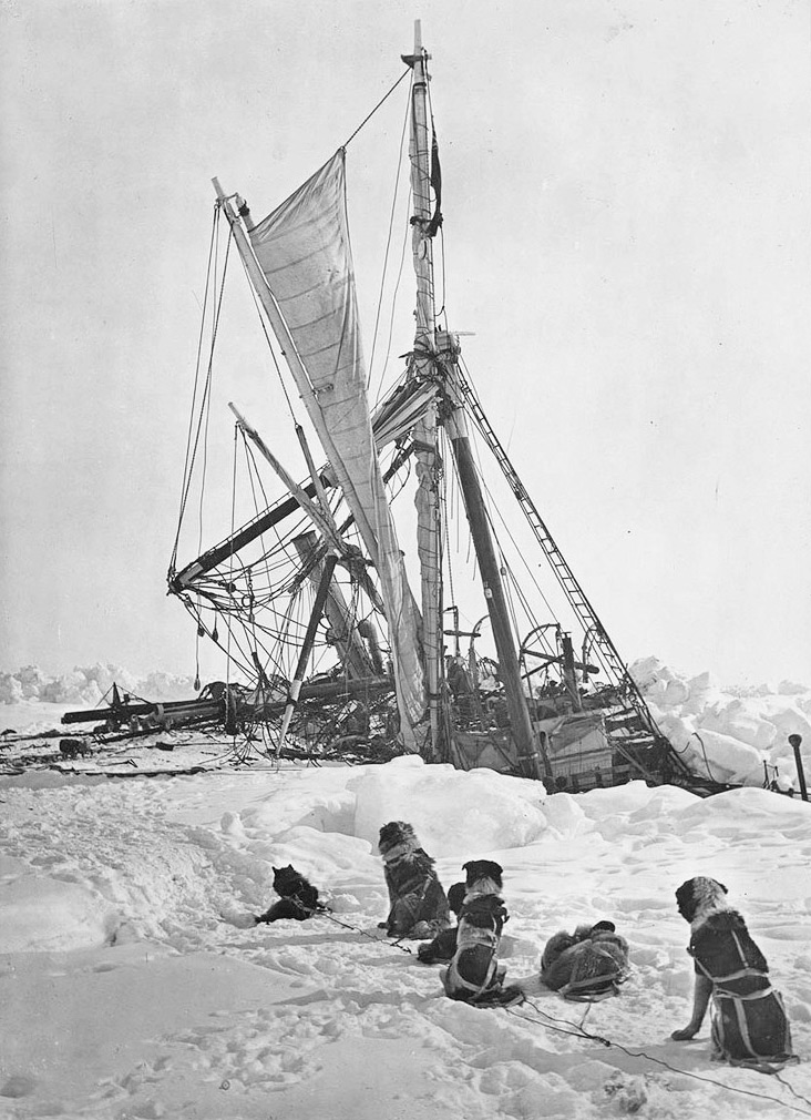 Head of Boys’ Junior School Tintern Aspectus